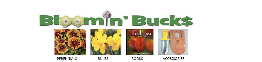 bloomin-bucks-header